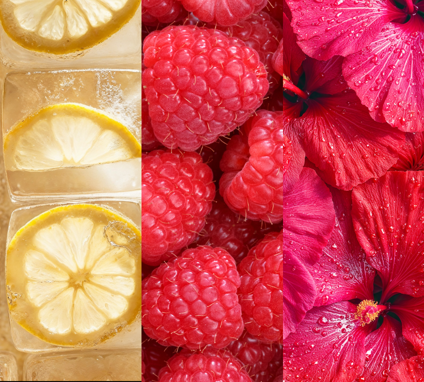 lemons in ice, raspberries, and hibiscus flowers vertically