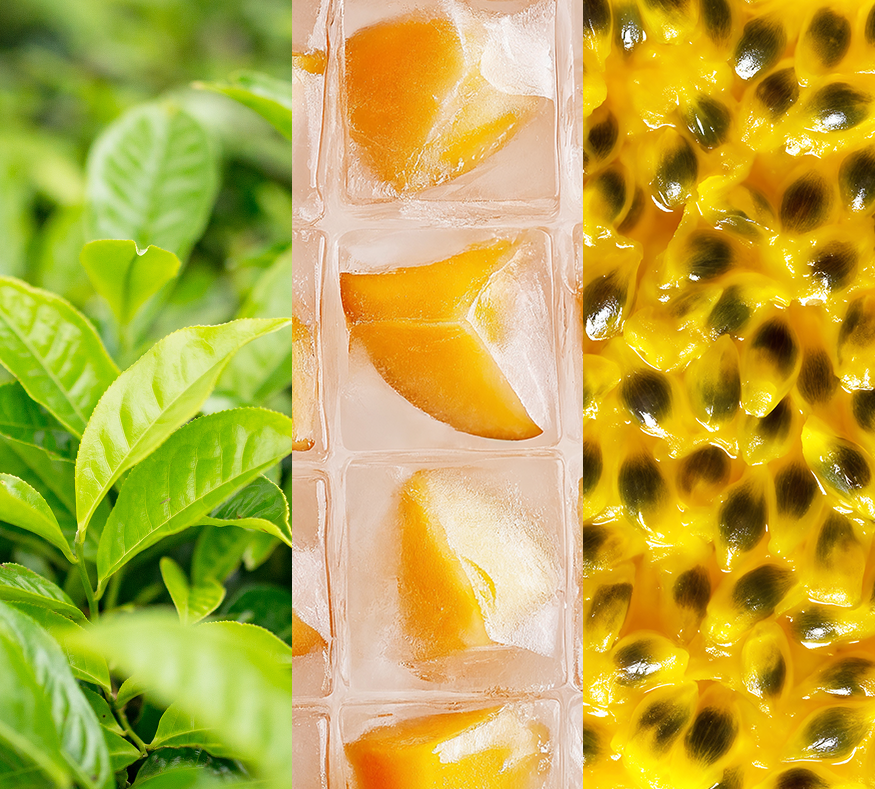 Green Tea Variety Pack