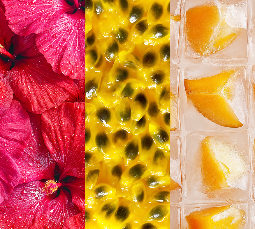 Paradise Variety Pack