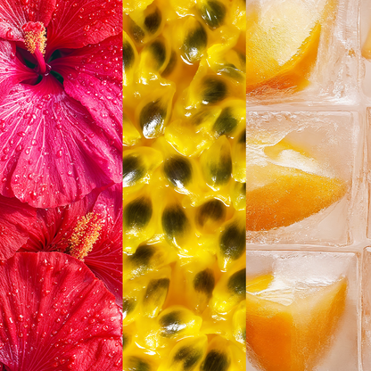 Paradise Variety Pack