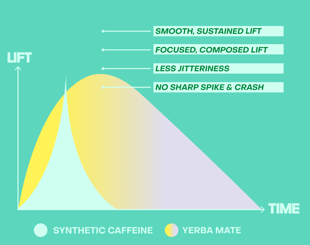 Yerba mate energy vs artificial energy